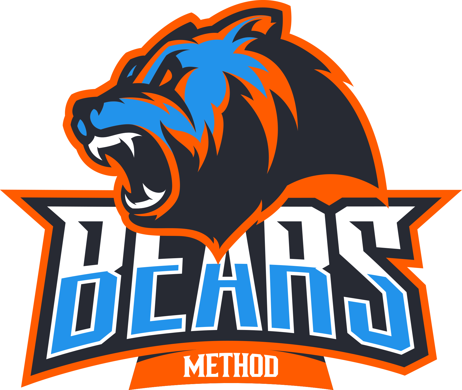 METHOD BEARS V2-1